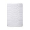Plumon Térmico Microfibra Irisette® 1 Plaza - Imagen 2